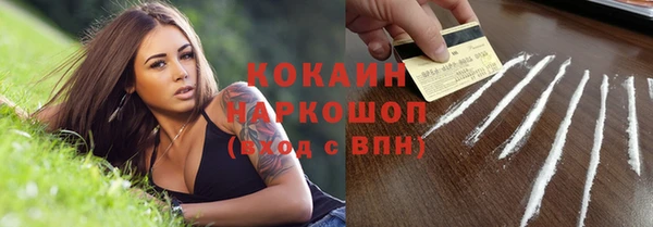 мдпв Кукмор