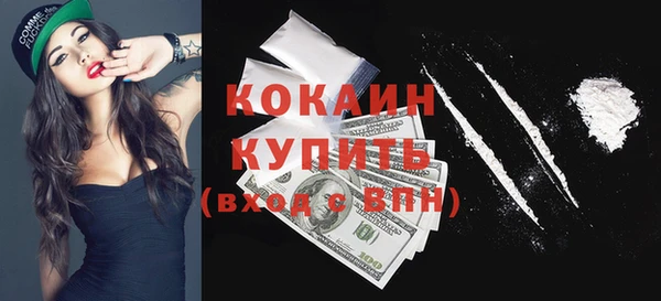 мдпв Кукмор