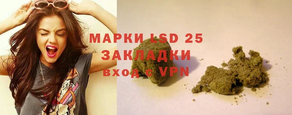 мдпв Кукмор