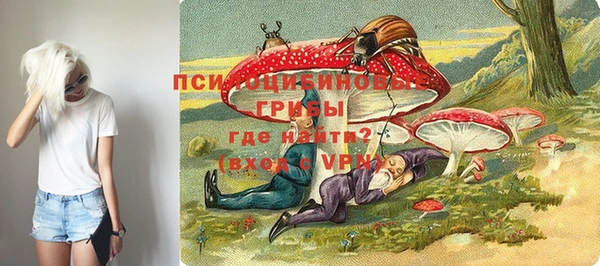 мдпв Кукмор
