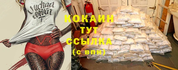 мдпв Кукмор