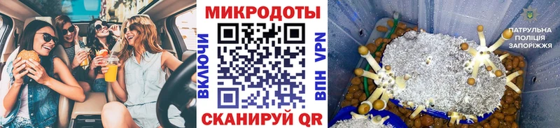 Галлюциногенные грибы ЛСД  Белгород 