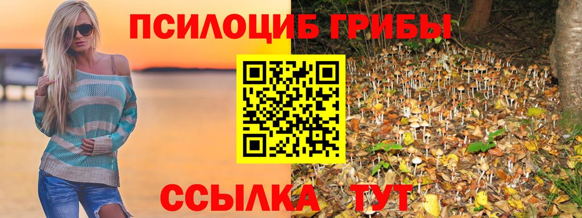 Псилоцибиновые грибы мухоморы  Белгород 