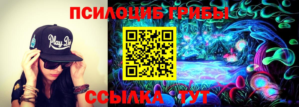 Галлюциногенные грибы MAGIC MUSHROOMS  Вход с VPN  Белгород 